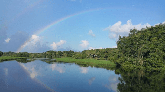 Myakka River State Park