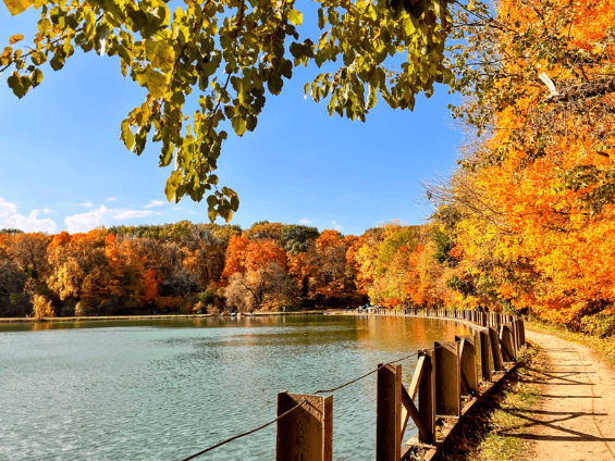 Silver Springs State Park