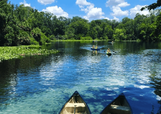 Wekiwa Springs State Park